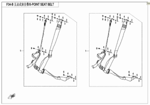 F34-B 5-POINT SEAT BELT