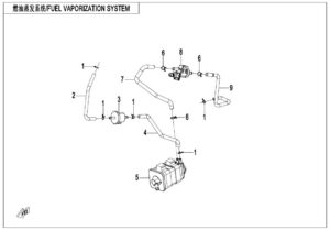 F36 FUEL EVAPORATION SYSTEM