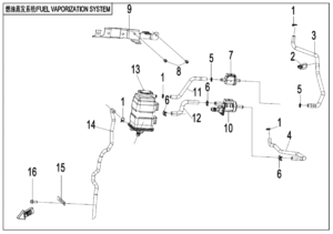 F36 FUEL VAPOPIN SYSTEM