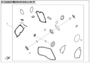 ENGINE OIL SEAL &O-RING SET