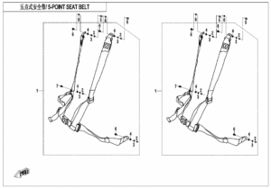 5-POINT SEAT BELT