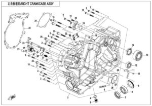 RIGHT CRANKCASE ASSY