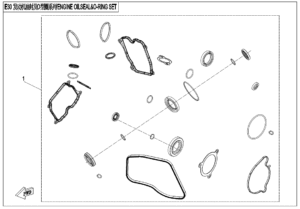 E30 ENGINE OIL SEAL @^O-RING SET