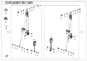 F34 3-POINT SEAT BELT
