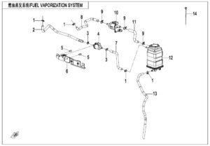 F36 FUEL EVAPORATION SYSTEM