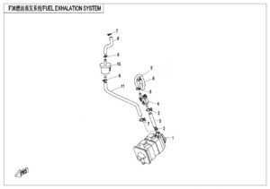 F36 FUEL EVAPORATION SYSTEM