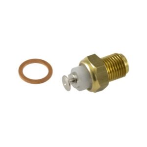 Termistor RMS 100120370