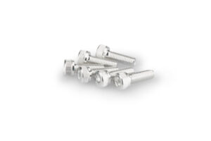 Šrouby PUIG ANODIZED 0146P stříbrná M5 x 15mm (6ks)