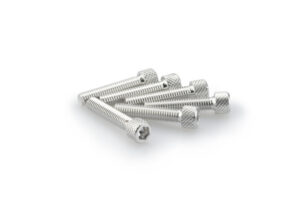 Šrouby PUIG ANODIZED 0258P stříbrná M6 x 30mm (6ks)