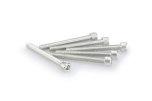 Šrouby PUIG ANODIZED 0446P stříbrná M6 x 55mm (6ks)