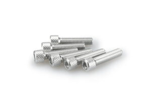 Šrouby PUIG ANODIZED 0544P stříbrná M6 x 25mm (6ks)