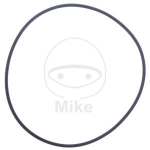 Těsnění vodní pumpy ATHENA M752510100004 O-kroužek