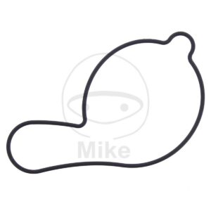 Těsnění vodní pumpy ATHENA S410485024028