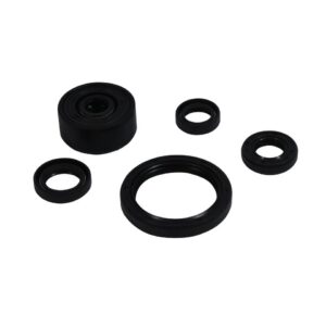 Sada gufer motoru WINDEROSA 822377