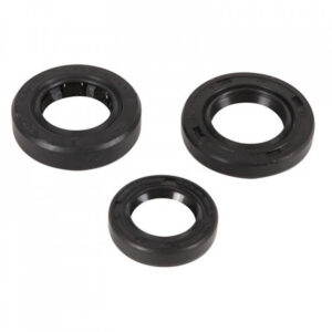 Sada gufer motoru WINDEROSA 822389