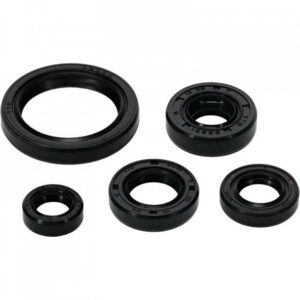 Sada gufer motoru WINDEROSA 822994