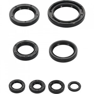 Sada gufer motoru WINDEROSA 822996