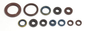 Sada gufer motoru ATHENA P400010400027