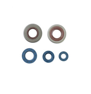 Sada gufer motoru ATHENA P400130400210