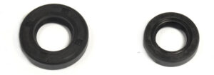 Sada gufer motoru ATHENA P400210400183