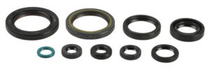 Sada gufer motoru ATHENA P400210400239 pro HONDA CRF 450 R 2009-2016