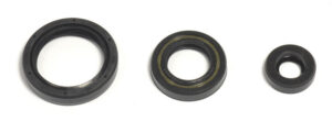 Sada gufer motoru ATHENA P400220400263