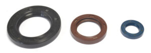 Sada gufer motoru ATHENA P400270400031