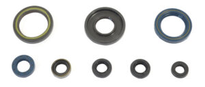 Sada gufer motoru ATHENA P400270400033 pro KTM MX 250 1985-1986