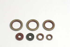 Sada gufer motoru ATHENA P400270400038