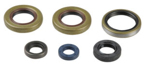 Sada gufer motoru ATHENA P400270400042 pro KTM SX 65 2001-2008