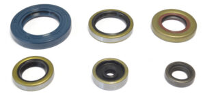 Sada gufer motoru ATHENA P400270400047