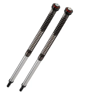 Cartridge BITUBO Nastavitelné: předpětí pružiny/odskok/komprese (+2l oleje) Červená pružina pro APRILIA Tuareg 660 2021-2026