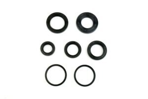 Sada gufer motoru ATHENA P400010400022
