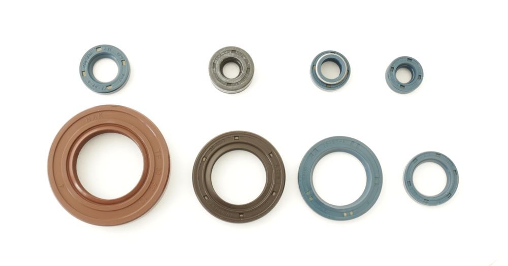 Sada gufer motoru ATHENA P400060400240