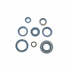 Sada gufer motoru ATHENA P400090400130