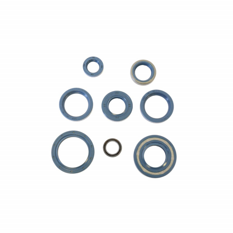 Sada gufer motoru ATHENA P400090400130