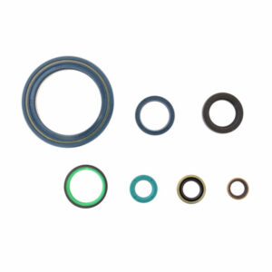 Sada gufer motoru ATHENA P400110400900
