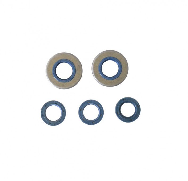 Sada gufer motoru ATHENA P400150400060