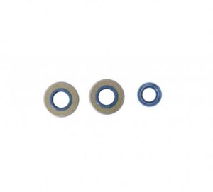 Sada gufer motoru ATHENA P400150400070