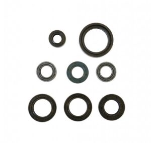 Sada gufer motoru ATHENA P400210400100
