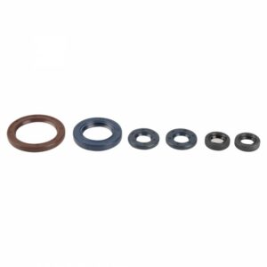 Sada gufer motoru ATHENA P400270400056