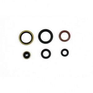 Sada gufer motoru ATHENA P400270400077