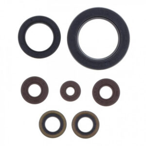 Sada gufer motoru ATHENA P400462400002 pro SHERCO 250 SEF-R (Factory) 2014-2018, SHERCO 300 SEF-R (Factory) 2014-2020