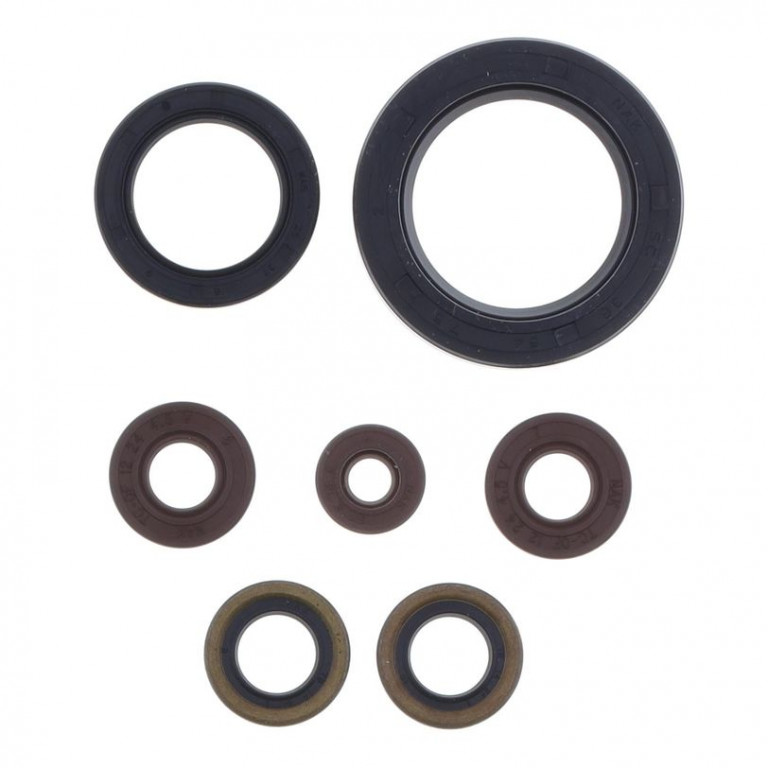 Sada gufer motoru ATHENA P400462400002 pro SHERCO 250 SEF-R (Factory) 2014-2018, SHERCO 300 SEF-R (Factory) 2014-2020