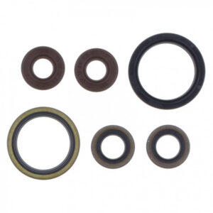 Sada gufer motoru ATHENA P400462400006 pro SHERCO 450 SEF-R (Factory) 2015-2027, SHERCO 500 SEF-R (Factory) 2021-2027